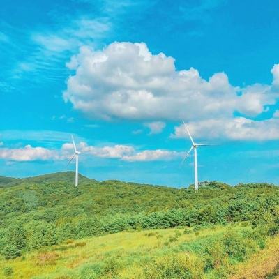 第七轮回手游下载